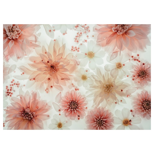 BILD - Poster, flowers-transparent, 70x50 cm