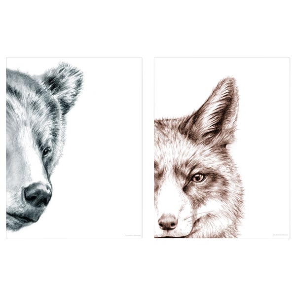 BILD poster, bear and fox, 30x40 cm, 2 pack