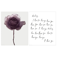 BILD - Poster, romantic rose, 40x50 cm