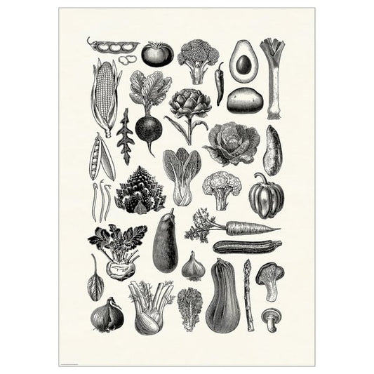 BILD - BILD Poster, various vegetables, 50x70 cm