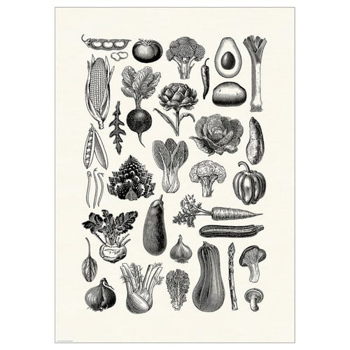BILD poster, various vegetables, 50x70 cm