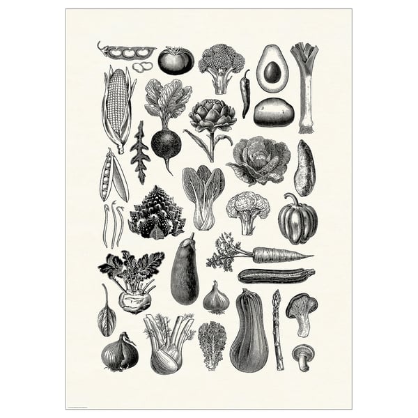 BILD poster, various vegetables, 50x70 cm