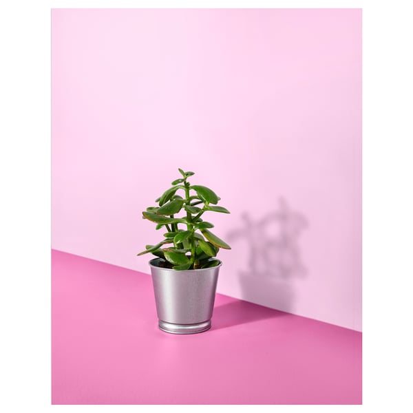 BINTJE plant pot, galvanised, 9 cm