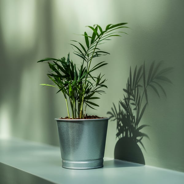 BINTJE plant pot, galvanised, 9 cm