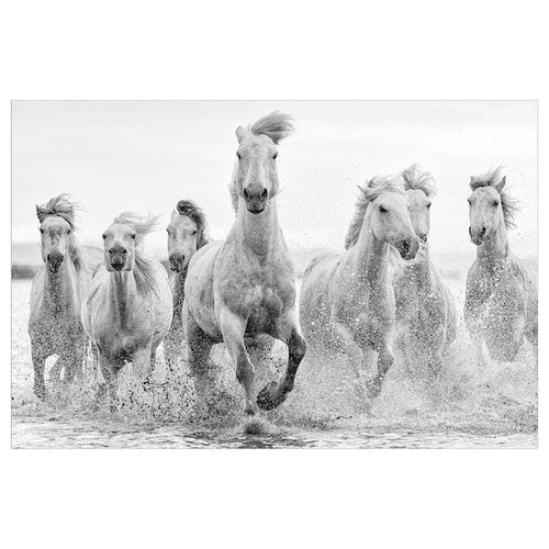 BJÖRKSTA picture, horses at the water's edge, 78x118 cm