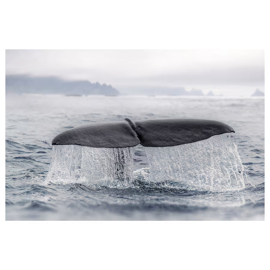 BJÖRKSTA Canvas, whale tail,118x78 cm