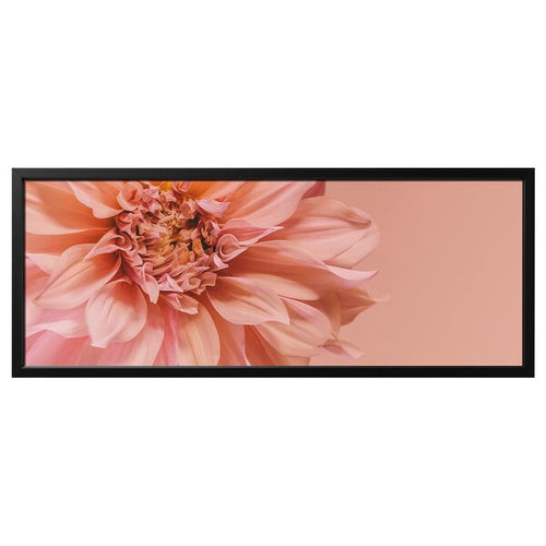 BJÖRKSTA - Picture with frame, flowers-in pink/black, 140x56 cm