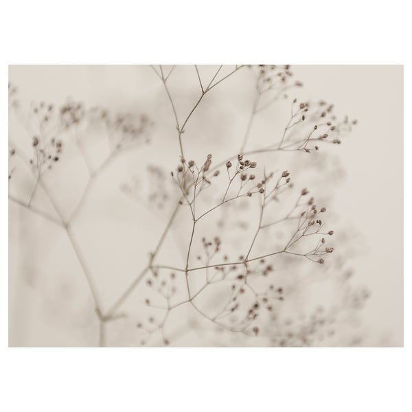 BJÖRKSTA picture, flowers-close up, 140x100 cm