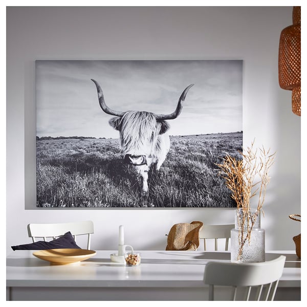 BJÖRKSTA picture, curious cow
