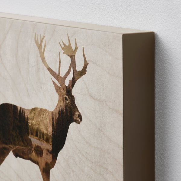 BJÖRNAMO - BJÖRNAMO Picture, set of 2, Wild animals II, 30x20 cm