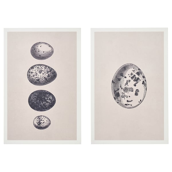 BJÖRNAMO art print on hollow wood, eggs, 20x30 cm, 2 pack