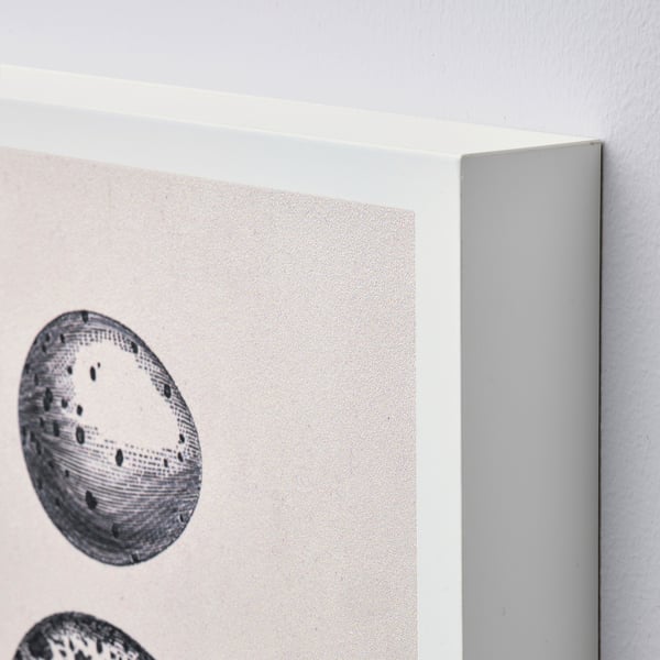 BJÖRNAMO art print on hollow wood, eggs, 20x30 cm, 2 pack