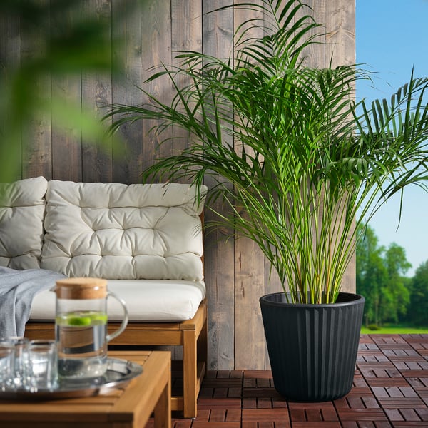 BJÖRNBAMBU - BJÖRNBAMBU Plant pot, in/outdoor dark grey, 32 cm