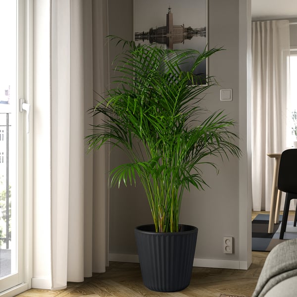 BJÖRNBAMBU - BJÖRNBAMBU Plant pot, in/outdoor dark grey, 32 cm