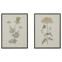 BLODFLÄDER picture, floral simplicity, 30x40 cm, 2 pack