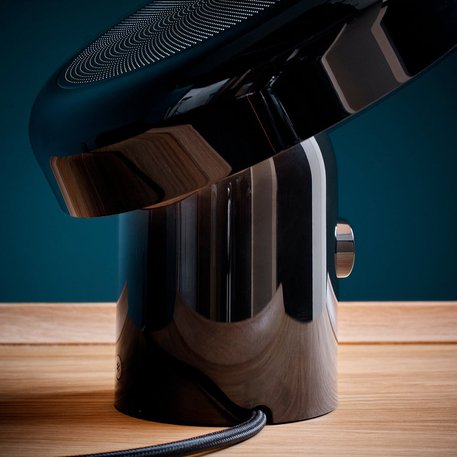 BLOMPRAKT Bluetooth speaker lamp, black, 22x22.4x20.6 cm