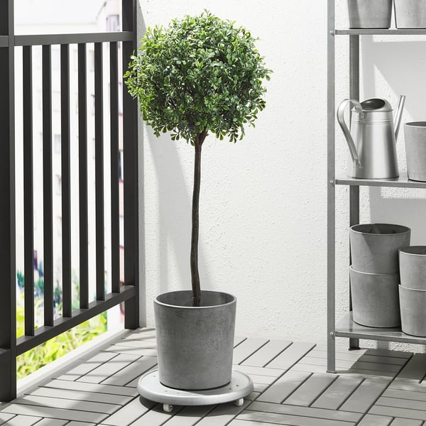 BOYSENBÄR plant pot, in/outdoor light grey, 15 cm