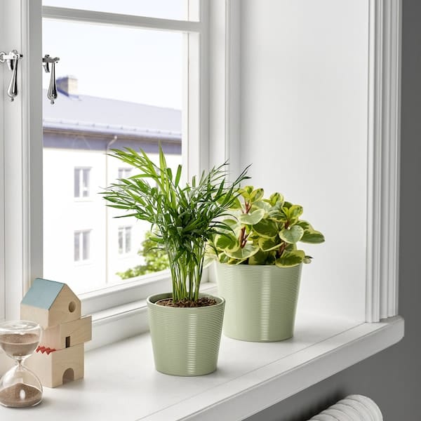 Ikea BROKSPIREA - Planter holder, light green,9 cm