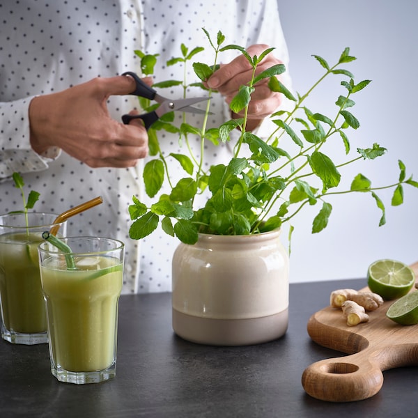 BRUGDHAJ jar with lid, beige, 1 l