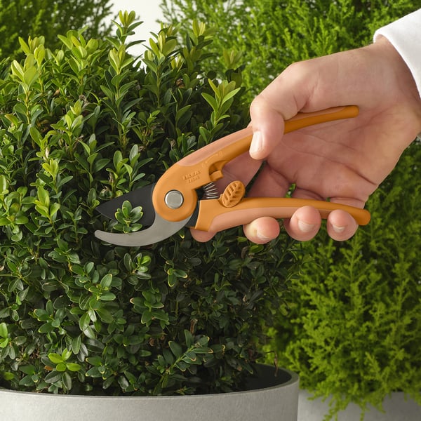 BRYTBÖNA secateurs, orange