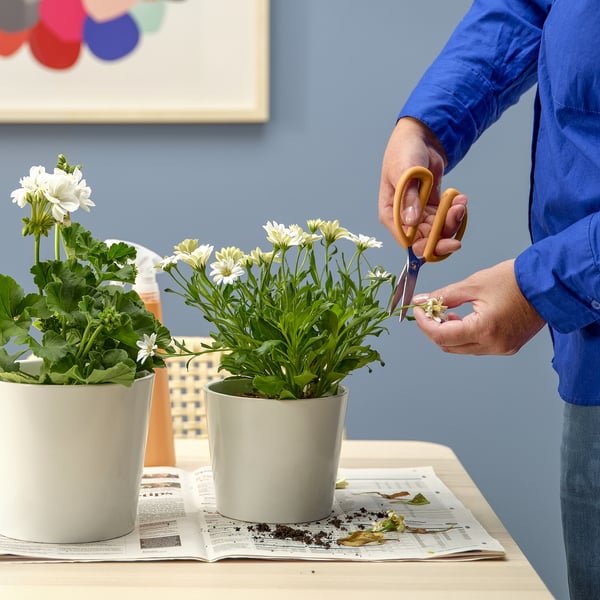 BRYTBÖNA herb scissors, orange, 16 cm