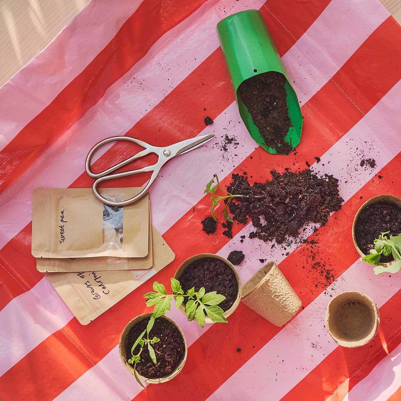 BRYTBÖNA scissors, stainless steel, 16 cm