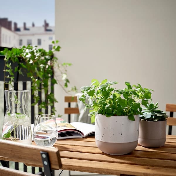Ikea BUSKKAPRIFOL - Plant pot, in/outdoor/beige, 12 cm