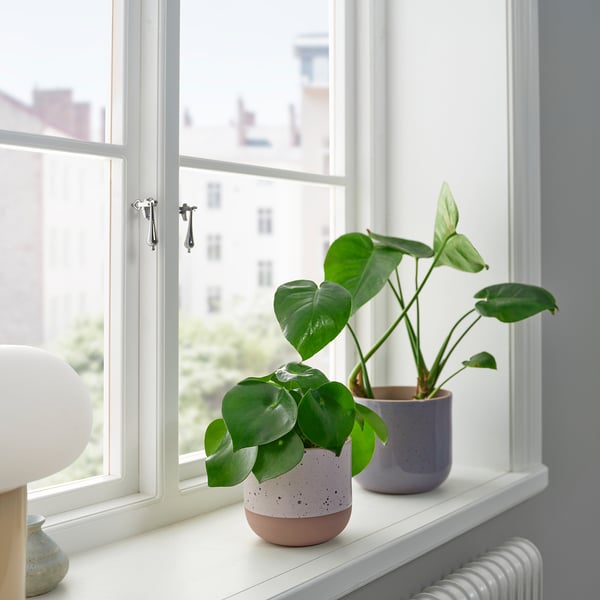 BUSKKAPRIFOL plant pot, in/outdoor/beige, 12 cm