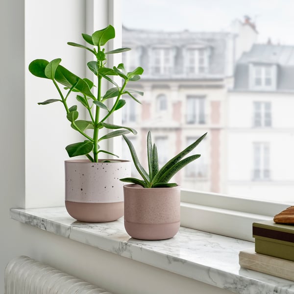 BUSKKAPRIFOL plant pot, in/outdoor/grey, 9 cm