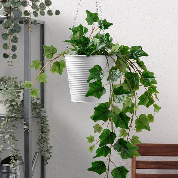 CASHEWÄPPLE - Hanging planter, in/outdoor white, 15 cm