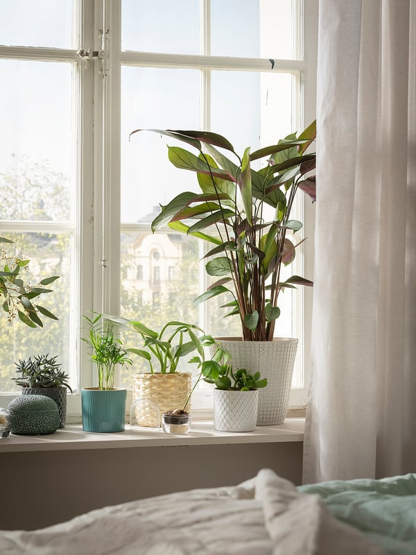 CHIAFRÖN plant pot, white, 9 cm