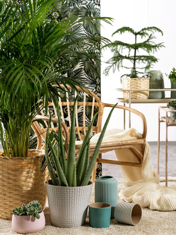 CHIAFRÖN plant pot, white, 9 cm