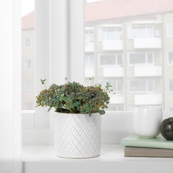 CHIAFRÖN plant pot, white, 9 cm