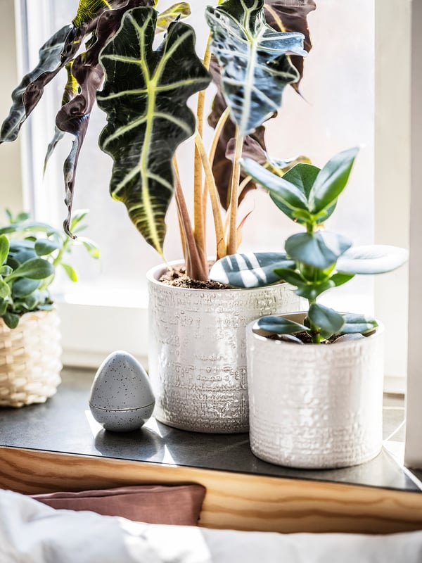 CHIAFRÖN plant pot, in/outdoor white, 12 cm