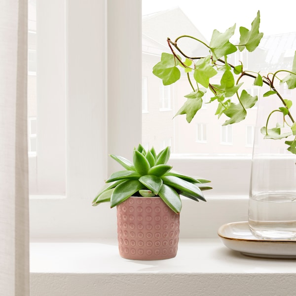 CHIAFRÖN - pot holder, indoor/outdoor pink,6 cm
