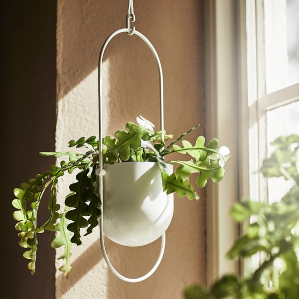 CHILISTRÅN hanging planter, in/outdoor white, 12 cm