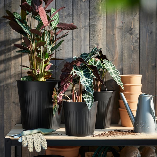 CITRONMELISS plant pot, in/outdoor/anthracite, 19 cm