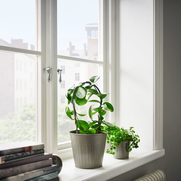 CITRONMELISS plant pot, in/outdoor/grey, 15 cm