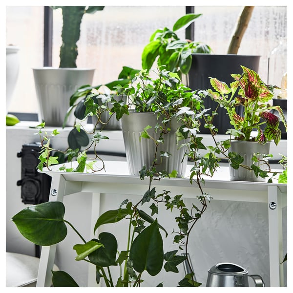 CITRONMELISS plant pot, in/outdoor/grey, 15 cm