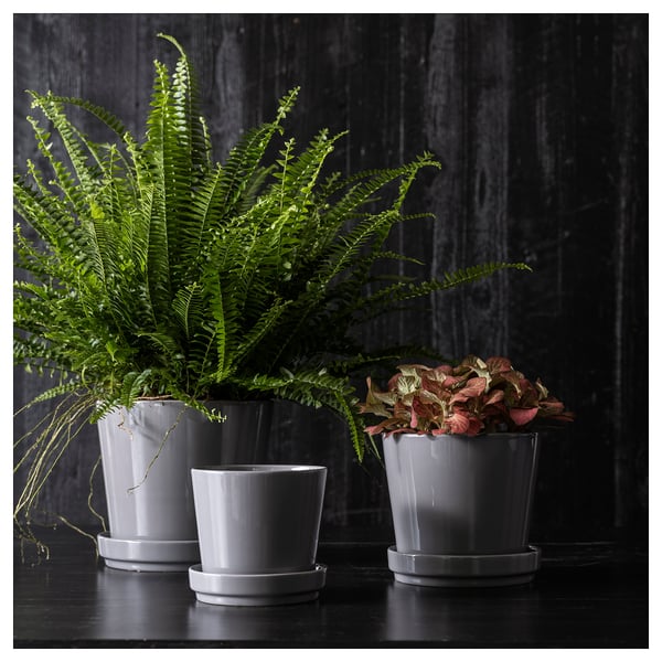 CITRUSFRUKT FLOWERPOT, with saucer, for in / outdoor gray,9 cm