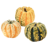 CUCURBITA decoration pumpkin, assorted, 12 cm