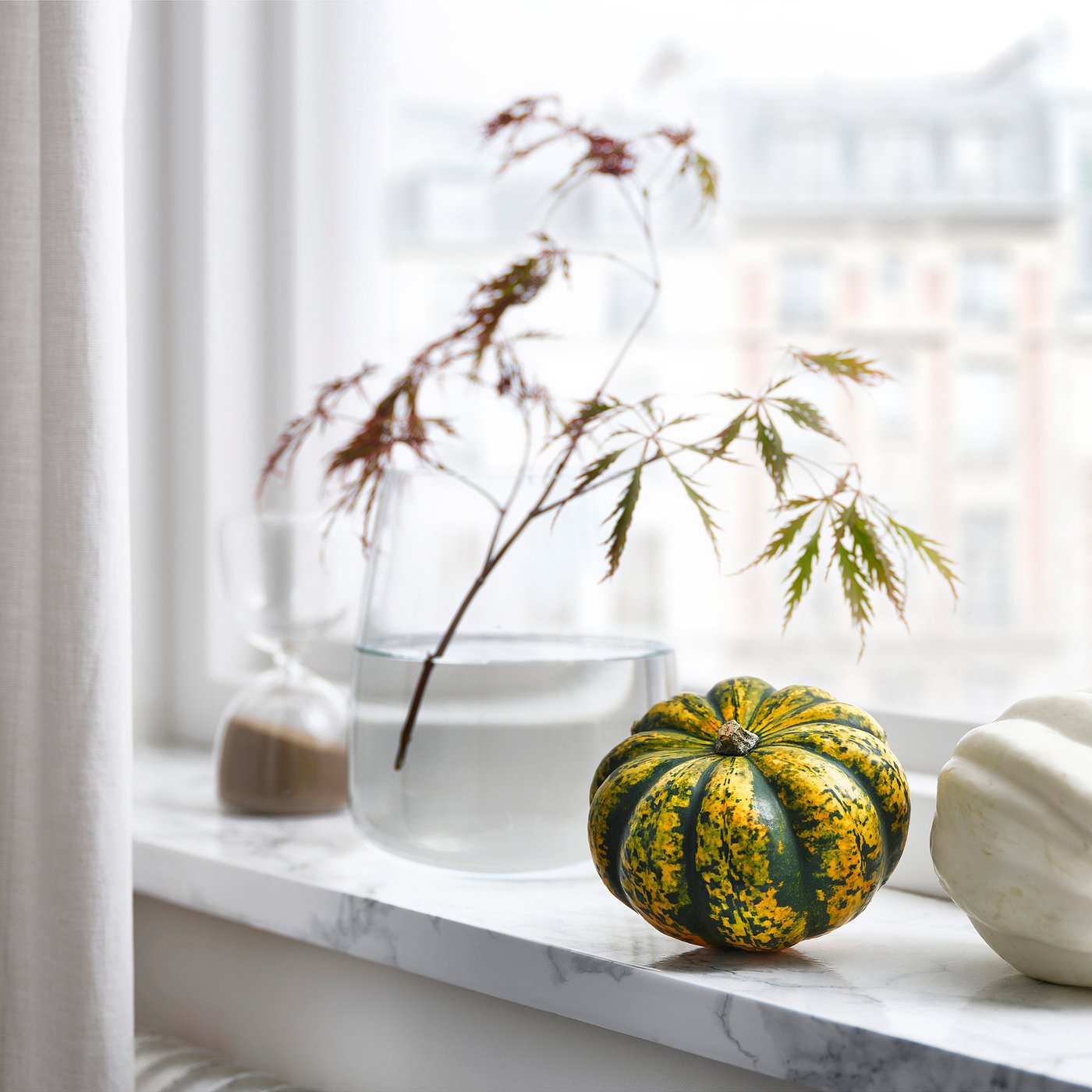 CUCURBITA decoration pumpkin, assorted, 12 cm