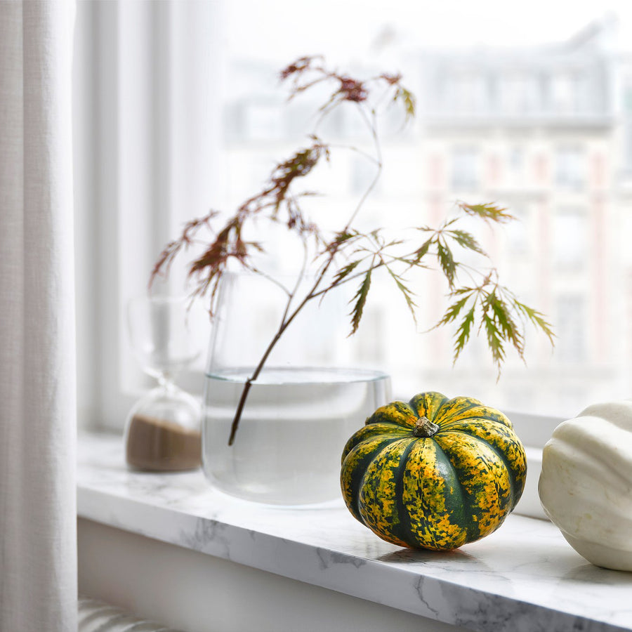 CUCURBITA decoration pumpkin, assorted, 12 cm