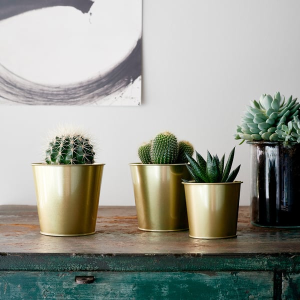 DAIDAI plant pot, brass-colour, 9 cm
