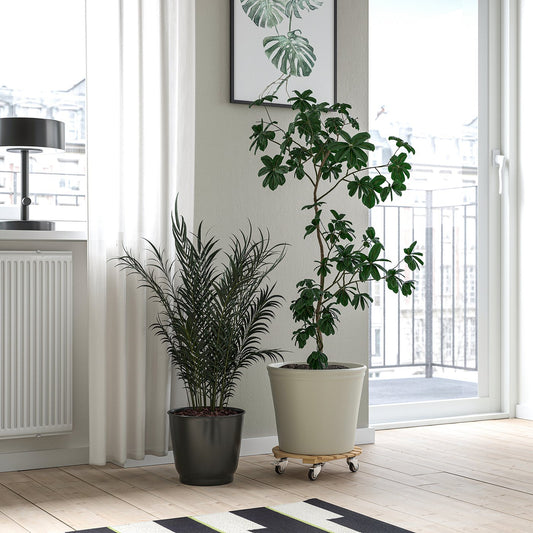 DAKSJUS plant mover, bamboo, 28 cm