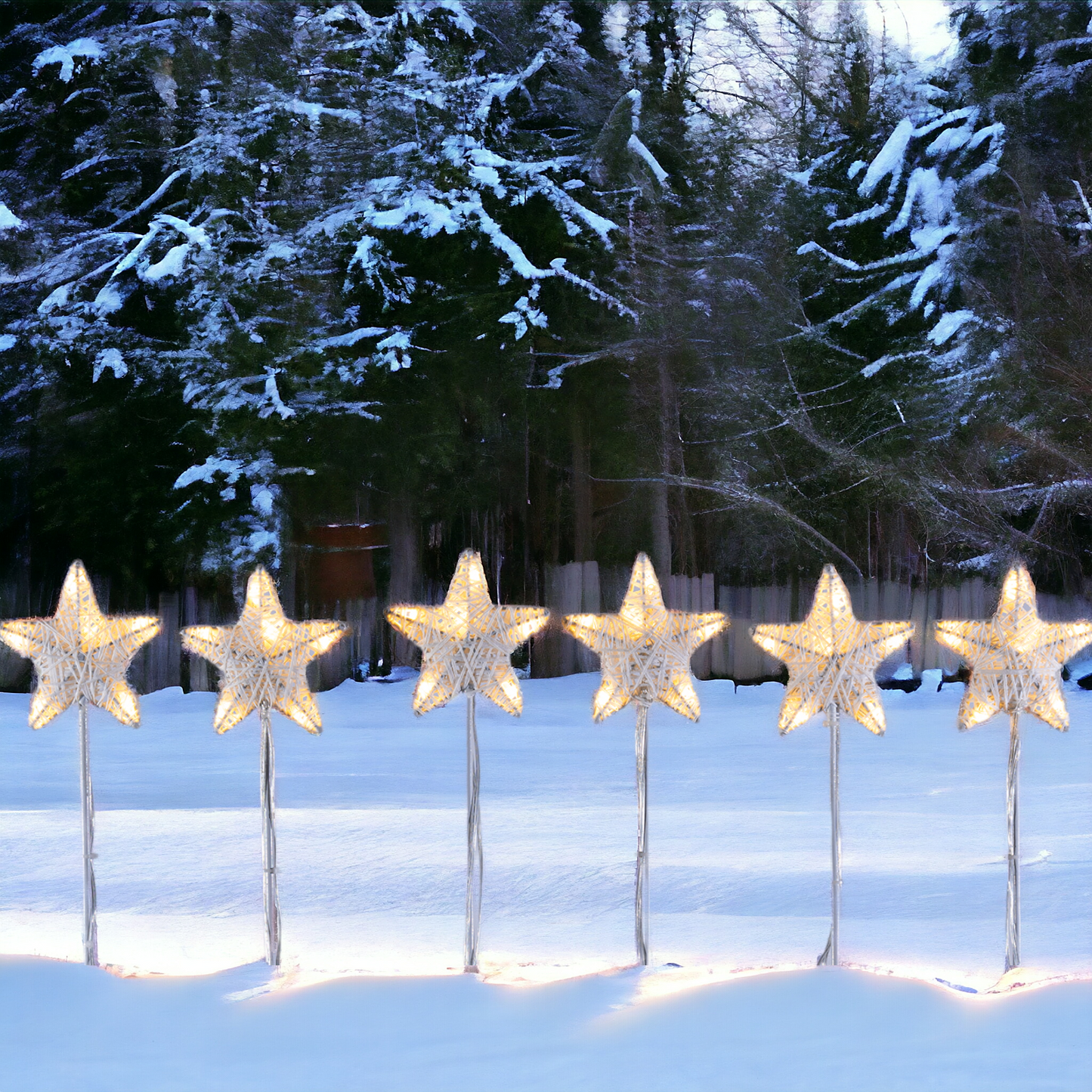 6 GARDEN STARS 36 LED WARM AND COLD LIGHT WITH STAKE