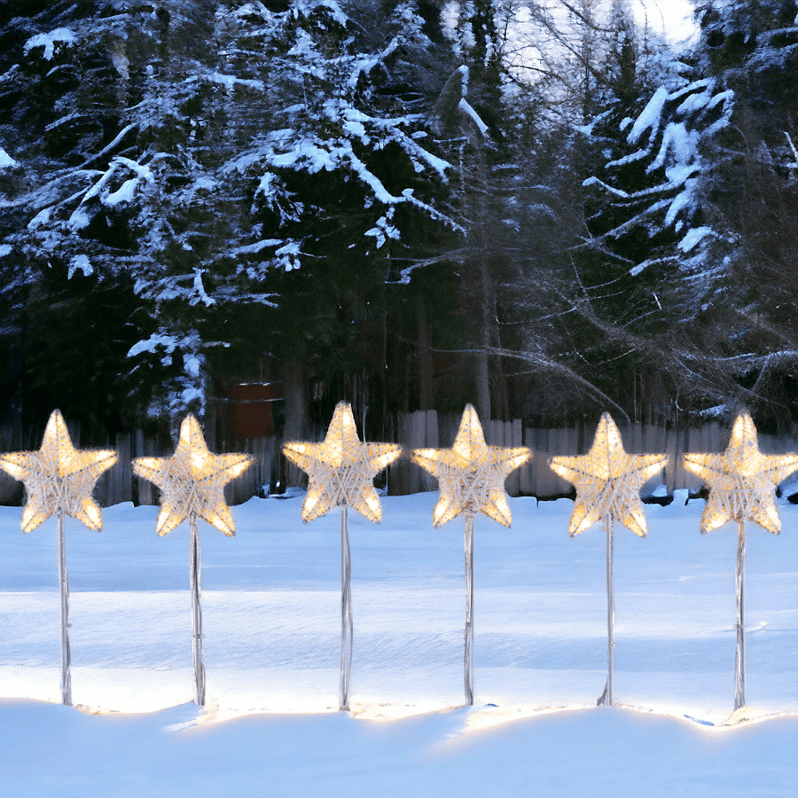 Bricocenter 6 GARDEN STARS 36 LED WARM AND COLD LIGHT WITH STAKE