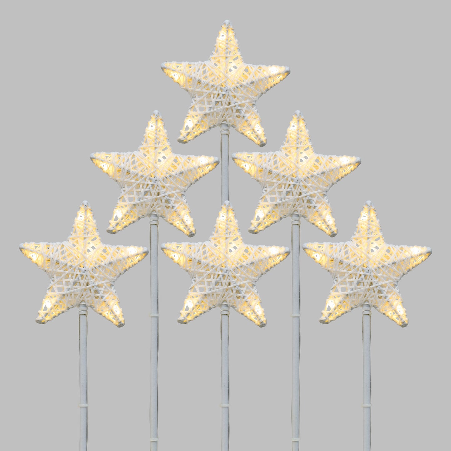 6 GARDEN STARS 36 LED WARM AND COLD LIGHT WITH STAKE