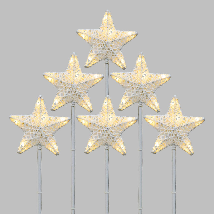 Bricocenter 6 GARDEN STARS 36 LED WARM AND COLD LIGHT WITH STAKE