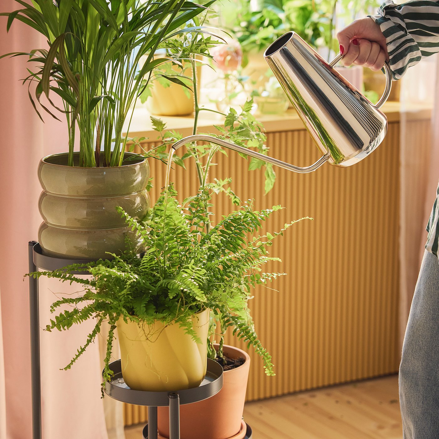 DOFTRIPS watering can, stainless steel, 1.5 l